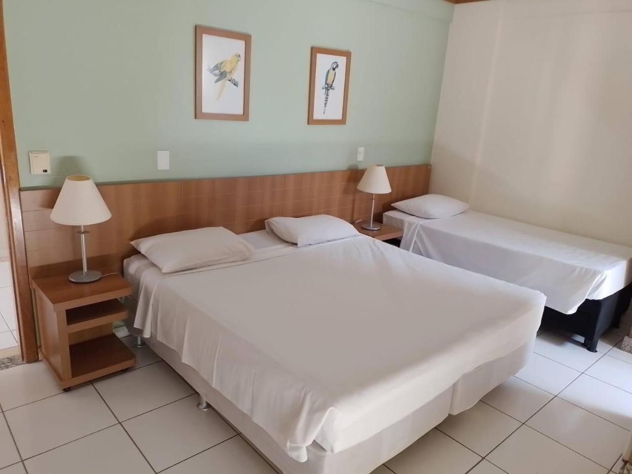Golden Dolphin - Grand Flat Com Netflix *